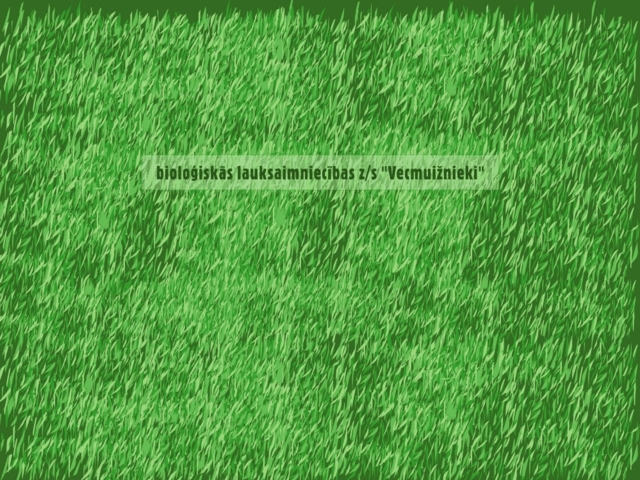 Vecmuižnieki, ZS
